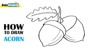 How to Draw Acorn