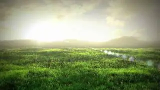 Windblown Grassy Meadow
