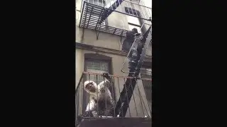 Fire Escape Painting building Manhattan