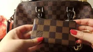 What's in my bag Lv Speedy B? #louisvuitton#speedy30#damierebene