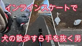 インラインスケートで犬の散歩！？棒立ちで晩秋の山中湖を観光する方法【富士五湖地方探訪記】