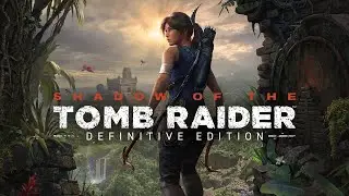 Shadow of the Tomb Raider Definitive Edition/RTX 3070 4K Max Settings