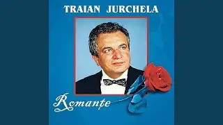 În Satul Meu