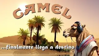 Camel finalmente llega a destino