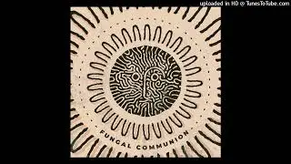 Archypness - Symbiotic Pulse