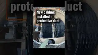 Rats Chewed the Power Cable! 💥 Flooded Treatment Plant Saved in 1 Day | PWS to the Rescue