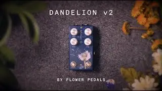 Flower Pedals Dandelion Tremolo v2 (demo)