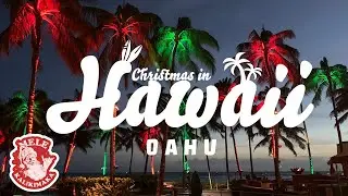 Christmas in Hawaii | Places to go in Oahu | Holiday Lights