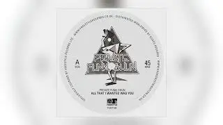 Private Funk-Shun - All That I Wanted Was You [Audio]