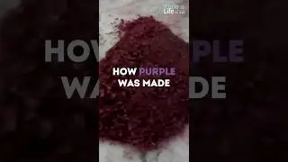 This is how the most expensive paint in history was made&hellip;