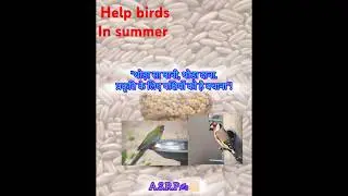 helping birds in summer|save birds#helping #summer #savenature#viralvideo