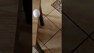 The egg is broken🐣😂#egg#viral#trending#video#youtubeshorts
