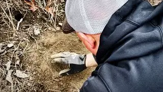 Predator trapping in southeast Missouri