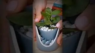 PLANTING IDEA USING BROKEN MUG