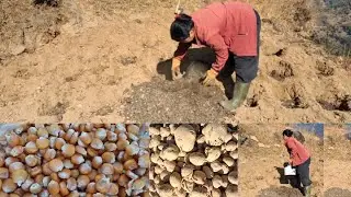 Aalu ra makai aakai choti ropdai @SastikaRai-dw3jo 