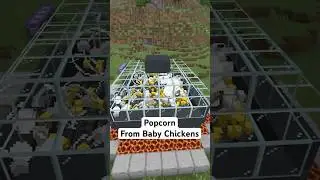 Making POPCORN Baby Chickens in Minecraft