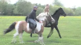 Reiten auf dem Dar&szlig;