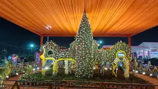 Vasant Utsav Noida flower 🌸 show  Feb 2024