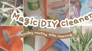 Magic DIY cleaner at home|easy cleaning tips tricks|productive Sunday by aiza'skitchen 
