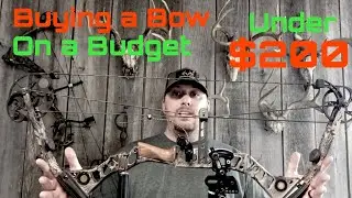 How to buy a bow on a budget
