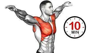 NO Equipment Chest Workout at Home | Build Big Chest Fast 🔥 beginners friendly 