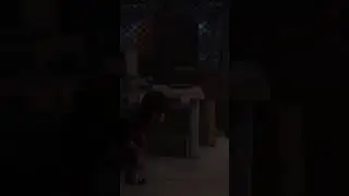 ЭТО ЧТО ЗА ТВАРЬ ? #gylt
