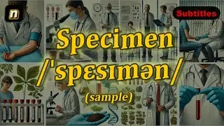 [n] Specimen meaning (sample) with 5 examples