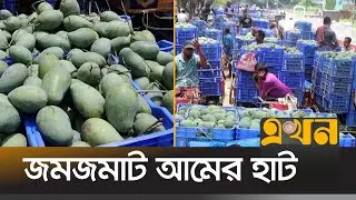 আমের সরবরাহ ভালো সত্ত্বেও দাম কেন বেশি? | Mango Market | Naogaon News | Ekhon TV