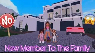 THE GIRLS SNUCK A PUPPY INTO THE HOUSE!! || BERRY AVENUE ROLE PLAY