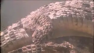 Muggers Of Spice Island / Quest For The Mugger Crocodile