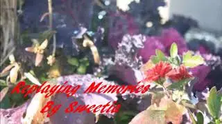 Replaying Memories - Sweetia  (Music)