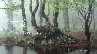 GuoGan & Komorebi -- 木霊（木雴 / Tree Spirit）二胡/Erhu