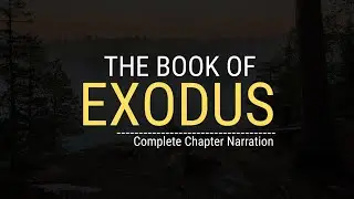 The Complete Exodus Story Told Like Never Before | Chapters 1-40