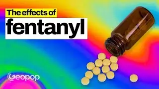 What happens when you take Fentanyl? Effects on the body and brain