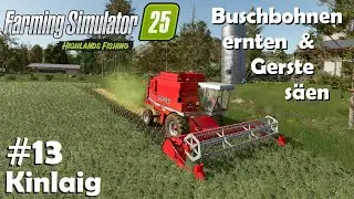 LS25 Kinlaig #13 Buschbohnen dreschen, neuer Kuhstall & Gersteaussaat / Farming Simulator 25