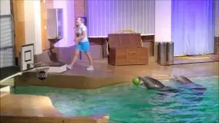 Delfiini esitys - Dolpfin Show Särkänniemi 2011