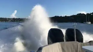 Sacs Strider 11 800hp