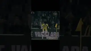 maxi edit