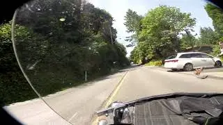 When Dogs Fly