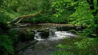 3 Hours Spa Music for Sleep & Study 🌊 Waterfall Sounds with Soft Piano