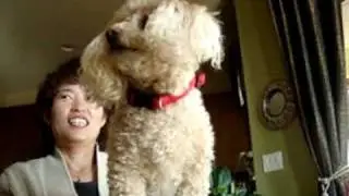 Charlie May Vid