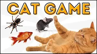 TOP 3 najlepsze gry dla kota 🎮 Pająk I Rybki I Mysz 🕷🐟🐭 CAT GAMES