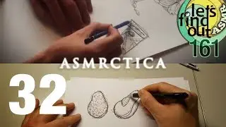 ASMR Let&rsquo;s Find Out / ASMRctica Collaboration: Grocery List