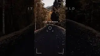 Not you #alanwalker #musikhits