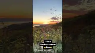 Beautiful Saskatchewan || #short #canada #saskatchewan #nature