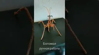#Богомол #shorts #shortsyoutube #ручнаяработа