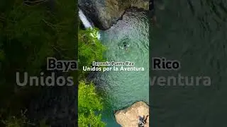 Bayam&oacute;n 🇵🇷