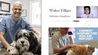 Bienfaits de l'acupuncture : conf&eacute;rence de Walter Villiger, v&eacute;t&eacute;rinaire &eacute;nerg&eacute;ticien, &agrave; Monthey