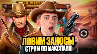 MAXLINE ИЩЕМ ЗАНОС! #белбет #белбетстрим