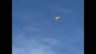 Seagull bearcat cat with saito 90 r3